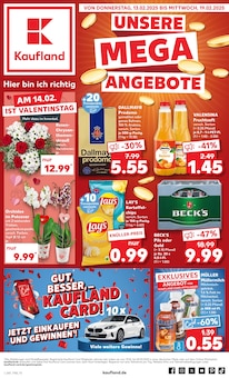 Kaufland Prospekt UNSERE MEGA ANGEBOTE mit  Seiten in Nabburg und Umgebung