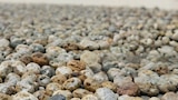 BUNT- UND ZIERKIES im Angebot bei Wreesmann in Stendal BUNT- UND ZIERKIES Angebote bei Wreesmann Stendal für 3,99 €