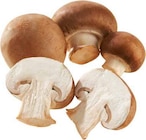 Bio Champignons „braun“ im Angebot bei E center in Münster Bio Champignons „braun“ Angebote bei E center Münster für 1,99 €
