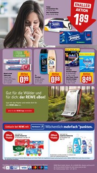 Zahnpflege im REWE Prospekt "Dein Markt" mit 20 Seiten (Wolfsburg)