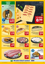 Teller im Marktkauf Prospekt in Schweinfurt Aktueller Marktkauf Prospekt mit Teller, "AUSWAHL RIESIG, PREISE NIEDRIG", Seite 17
