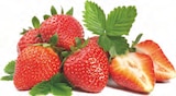 Erdbeeren im EDEKA Prospekt Erdbeeren im aktuellen EDEKA Prospekt für 2,44 €