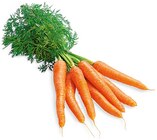 Bundmöhren im Angebot bei REWE in Siegen Bundmöhren Angebote von REWE Regional bei REWE Siegen für 1,29 €