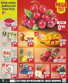 Erdbeeren im aktuellen EDEKA Prospekt (Potsdam) Erdbeeren im EDEKA Prospekt "Aktuelle Angebote" mit 23 Seiten (Potsdam)