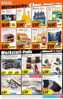 Rasendünger Angebot im aktuellen Norma Prospekt auf Seite 13