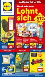 Aktueller Lidl Schwalmstadt Prospekt "LIDL LOHNT SICH" mit 61 Seiten