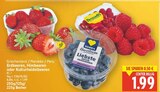 Erdbeeren Angebote bei E center Falkensee für 1,99 €