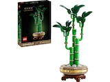 Botanicals 10344 Glücks-Bambus Bausatz, Mehrfarbig im MediaMarkt Saturn Prospekt Botanicals 10344 Glücks-Bambus Bausatz, Mehrfarbig von LEGO im aktuellen MediaMarkt Saturn Prospekt für 21,99 €