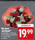 10er Rosen bei EDEKA im Freilassing Prospekt für 19,99 €