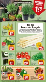 Ähnliche Angebote wie Tulpen im Prospekt "Dein Markt" auf Seite 7 von REWE in Willich