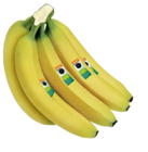 Bio Demeter Idene Bananen Angebote von Demeter bei E center Homburg für 2,22 €
