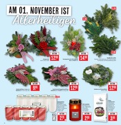 Grabpflege im Marktkauf Prospekt in Ravensburg Aktueller Marktkauf Prospekt mit Grabpflege, "Aktuelle Angebote", Seite 6