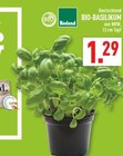 Aktuelles Bio-Basilikum Angebot bei Marktkauf in Bochum ab 1,29 €