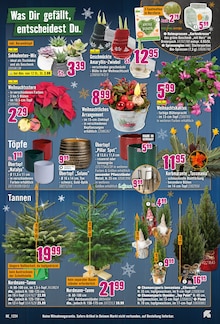 Weihnachtsbaum im Hornbach Prospekt "Über 400.000 Geschenkideen" mit 31 Seiten (Osnabrück)