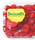 Himbeeren bei Netto mit dem Scottie im Prospekt  für 1,69 €