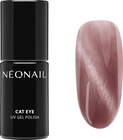 UV Nagellack Cat Eye Peony Glow von NÉONAIL im aktuellen dm-drogerie markt Prospekt für 9,95 €