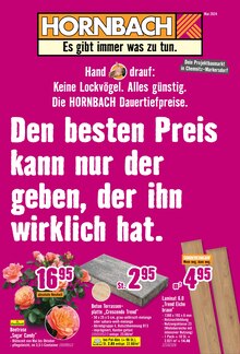 Terrassenplatten im Hornbach Prospekt "Den besten Preis kann nur der geben, der ihn wirklich hat." mit 34 Seiten (Chemnitz)