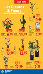 Offre Bulbes à fleurs dans le catalogue Lidl du moment à la page 30