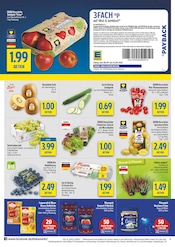Aktueller diska Prospekt mit Pflanzen, "alles an deinem ort.", Seite 4