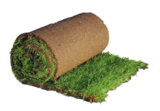 Rollrasen Angebote bei OBI Bochum für 8,49 €
