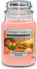 Duftglas Golden Peach im Angebot bei Netto Marken-Discount in Rostock Duftglas Golden Peach Angebote von Yankee Candle bei Netto Marken-Discount Rostock für 14,99 €