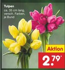 Aktuelles Tulpen Angebot bei Netto Marken-Discount in Nürnberg ab 2,79 €