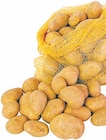 Aktuelle Kartoffeln Angebote bei Thomas Philipps in Dresden Aktuelles Deutsche Einkellerungskartoffeln Angebot bei Thomas Philipps in Dresden ab 3,33 €