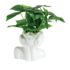 Pot avec plante à 4,50 € dans le catalogue Gifi