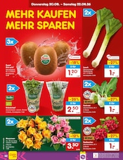 Ähnliche Sauerkraut Angebote im Prospekt "Aktuelle Angebote" von Netto Marken-Discount in Pirmasens Ähnliche Angebote wie Sauerkraut im Prospekt "Aktuelle Angebote" auf Seite 50 von Netto Marken-Discount in Pirmasens