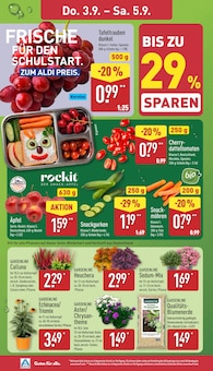 Äpfel im aktuellen ALDI Nord Prospekt (Münster) Äpfel im ALDI Nord Prospekt "Aktuelle Angebote" mit 43 Seiten (Münster)