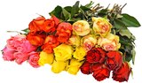 Premium Rosen Angebote bei REWE Goslar für 3,99 €