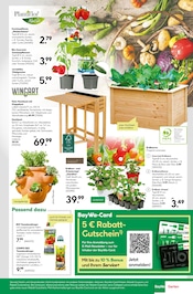 Gutscheine im BayWa Bau- und Gartenmärkte Prospekt in Reutlingen Aktueller BayWa Bau- und Gartenmärkte Prospekt mit Gutscheine, "Hier bin ich gern", Seite 5