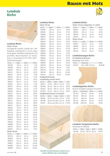 Gartenmöbel im Holz Possling Prospekt "Holz- & Baukatalog 2024/25" mit 188 Seiten (Potsdam)