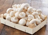 Promo Champignon Blanc à 1,69 € dans le catalogue Intermarché à L'Aigle