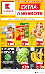 Aktueller Kaufland Prospekt, "EXTRA-ANGEBOTE", mit Angeboten der Woche, gültig von 09.10.2025 bis 09.10.2025