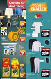 Pullover Angebot & Preis im aktuellen REWE Prospekt Pullover Angebot im aktuellen REWE Prospekt auf Seite 33