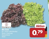 Mix Salat Angebote von HofWerte bei combi Bremen für 0,79 €