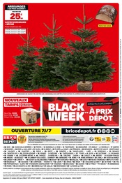 Sapin Nordmann Angebote im Prospekt "JOYEUX PRIX DÉPÔT !" von Brico Dépôt auf Seite 16