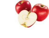 Apfel rot bei Netto Marken-Discount im Chemnitz Prospekt für 1,79 €