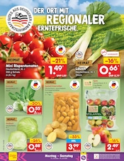 Kartoffeln im Netto Marken-Discount Prospekt in Neustadt Aktueller Netto Marken-Discount Prospekt mit Kartoffeln, "Aktuelle Angebote", Seite 6