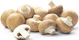 Braune Bio Champignons Angebote von REWE Bio bei REWE Darmstadt für 1,79 €