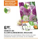 ALLIUM BLUMENZWIEBEL MISCHUNG bei OBI im Amberg Prospekt für 6,99 €