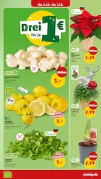 Champignons Angebot im aktuellen Penny Prospekt auf Seite 3