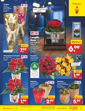 Aktueller Netto Marken-Discount Prospekt mit Blumen, "Aktuelle Angebote", Seite 5