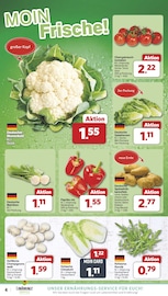 Kartoffeln im famila Nordwest Prospekt in Delmenhorst Aktueller famila Nordwest Prospekt mit Kartoffeln, "Markt - Angebote", Seite 4
