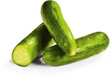 Aktuelles Mini-Gurken Angebot bei Netto Marken-Discount in Wuppertal ab 1,79 €