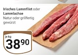 Irisches Lammfilet für 38,90 € bei GLOBUS im Angebot Irisches Lammfilet im aktuellen GLOBUS Prospekt
