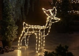 Promo Décoration de Noël 3D lumineuse à 16,99 € dans le catalogue Lidl à Dreux