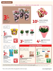 Promos Carotte dans le catalogue "LES HALLES d'automne" de Auchan Hypermarché à la page 20 Promos Carotte dans le catalogue "LES HALLES d'automne" de Auchan Hypermarché à la page 20