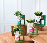 Kalanchoe Figurine Maitresse en promo chez Super U Noisy-le-Grand à 6,99 €